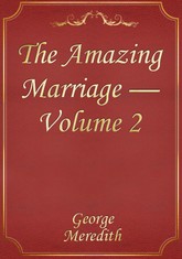 The Amazing Marriage — Volume 2 표지 이미지