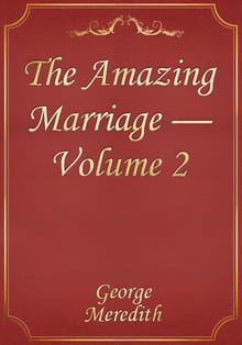 The Amazing Marriage — Volume 2