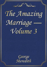 The Amazing Marriage — Volume 3 표지 이미지