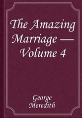The Amazing Marriage — Volume 4 표지 이미지