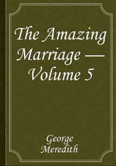 The Amazing Marriage — Volume 5 표지 이미지