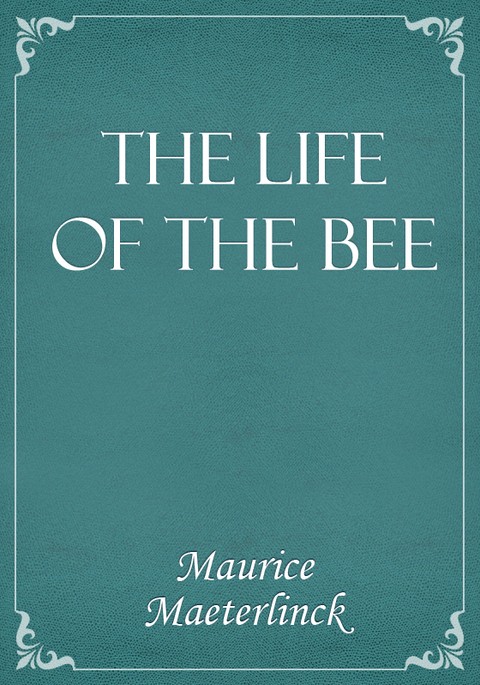 The Life of the Bee 표지 이미지
