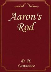 Aaron's Rod 표지 이미지