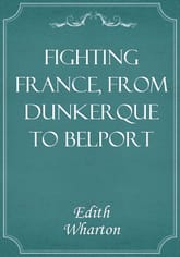 Fighting France, from Dunkerque to Belport 표지 이미지