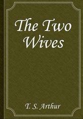 The Two Wives 표지 이미지