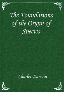 The Foundations of the Origin of Species