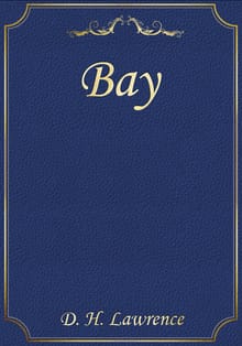 Bay