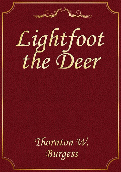 Lightfoot the Deer 표지 이미지