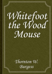 Whitefoot the Wood Mouse
