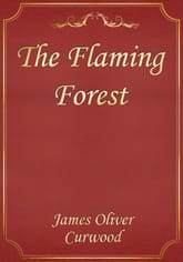 The Flaming Forest 표지 이미지