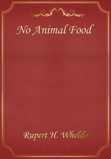 No Animal Food