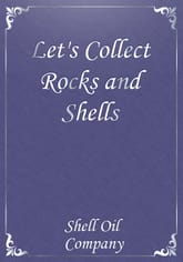 Let's Collect Rocks and Shells 표지 이미지