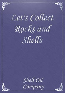 Let's Collect Rocks and Shells