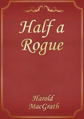 Half a Rogue 표지 이미지