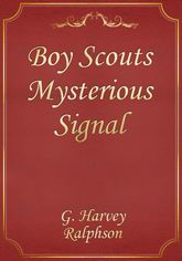 Boy Scouts Mysterious Signal 표지 이미지