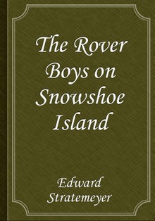 The Rover Boys on Snowshoe Island