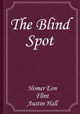 The Blind Spot 표지 이미지