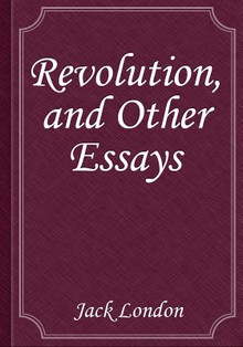 Revolution, and Other Essays