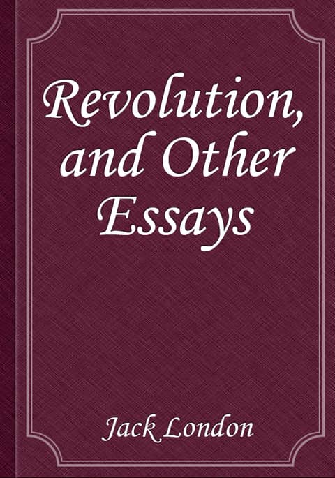 Revolution, and Other Essays 표지 이미지