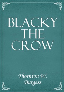 Blacky the Crow