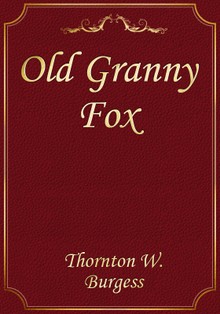 Old Granny Fox