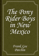 The Pony Rider Boys in New Mexico 표지 이미지