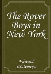 The Rover Boys in New York 표지 이미지