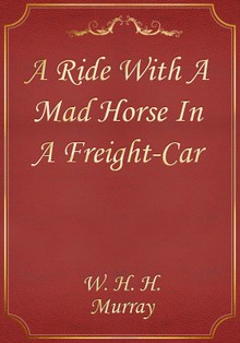 A Ride With A Mad Horse In A Freight-Car