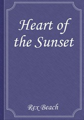 Heart of the Sunset 표지 이미지