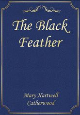 The Black Feather 표지 이미지