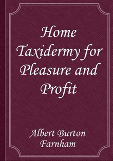Home Taxidermy for Pleasure and Profit
