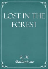 Lost in the Forest 표지 이미지