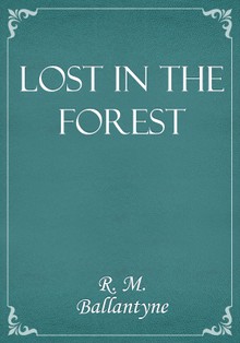 Lost in the Forest