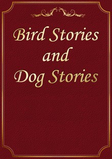 Bird Stories and Dog Stories