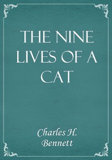 The Nine Lives of A Cat