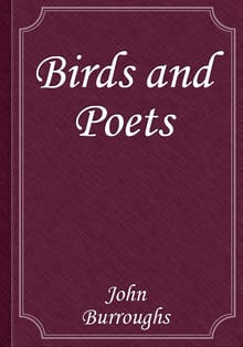 Birds and Poets