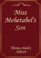 Miss Mehetabel's Son 표지 이미지