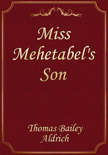 Miss Mehetabel's Son