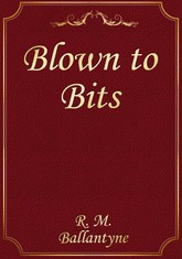 Blown to Bits 표지 이미지