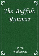 The Buffalo Runners 표지 이미지
