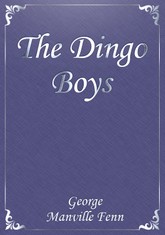 The Dingo Boys 표지 이미지