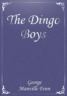 The Dingo Boys
