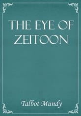 The Eye of Zeitoon 표지 이미지