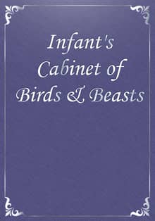 Infant's Cabinet of Birds & Beasts