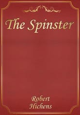 The Spinster 표지 이미지