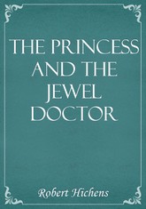 The Princess And The Jewel Doctor 표지 이미지