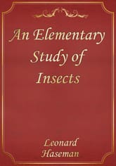 An Elementary Study of Insects 표지 이미지