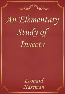 An Elementary Study of Insects