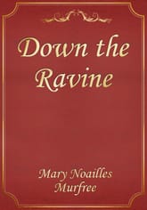 Down the Ravine 표지 이미지