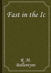 Fast in the Ic 표지 이미지